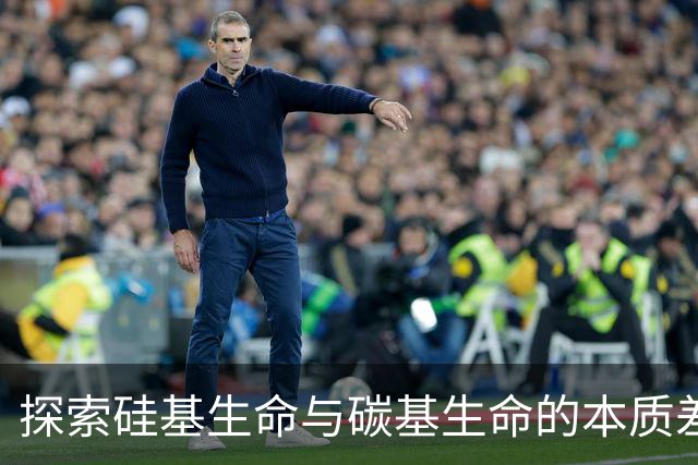 探索硅基生命与碳基生命的本质差异